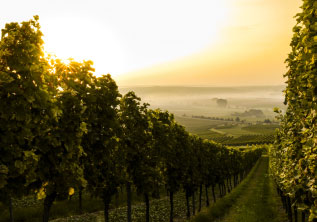 Elementary-Power-SpecialSolutions